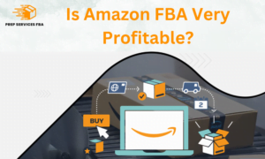 Is Amazon FBA Very Profitable